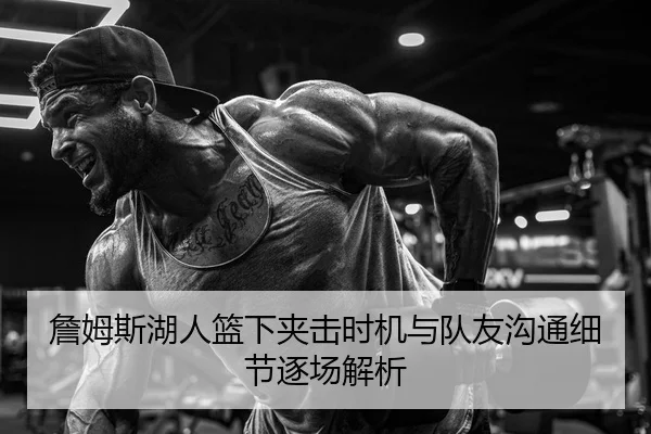 詹姆斯湖人篮下夹击时机与队友沟通细节逐场解析